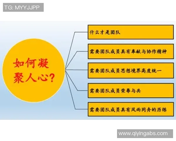 杭州足球队的团队协作探讨：凝聚力与战术配合的完美结合